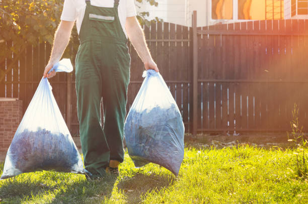 Best Professional Junk Removal  in Centerville, IA
