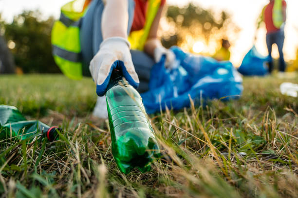Yard Cleanup Services in Centerville, IA